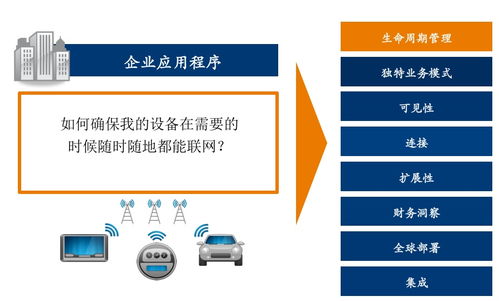 两个提供全球服务的物联网平台